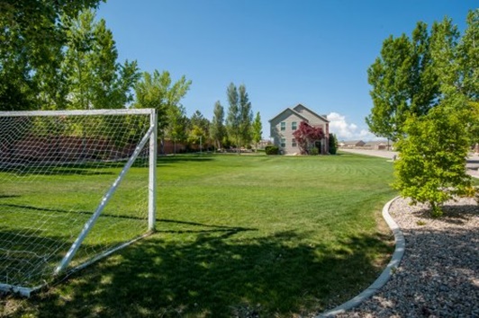 Front lawn